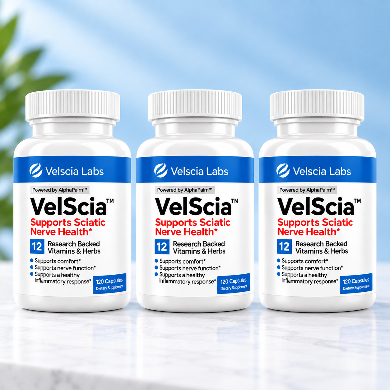 VelScia™