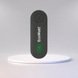 EcoWatt®