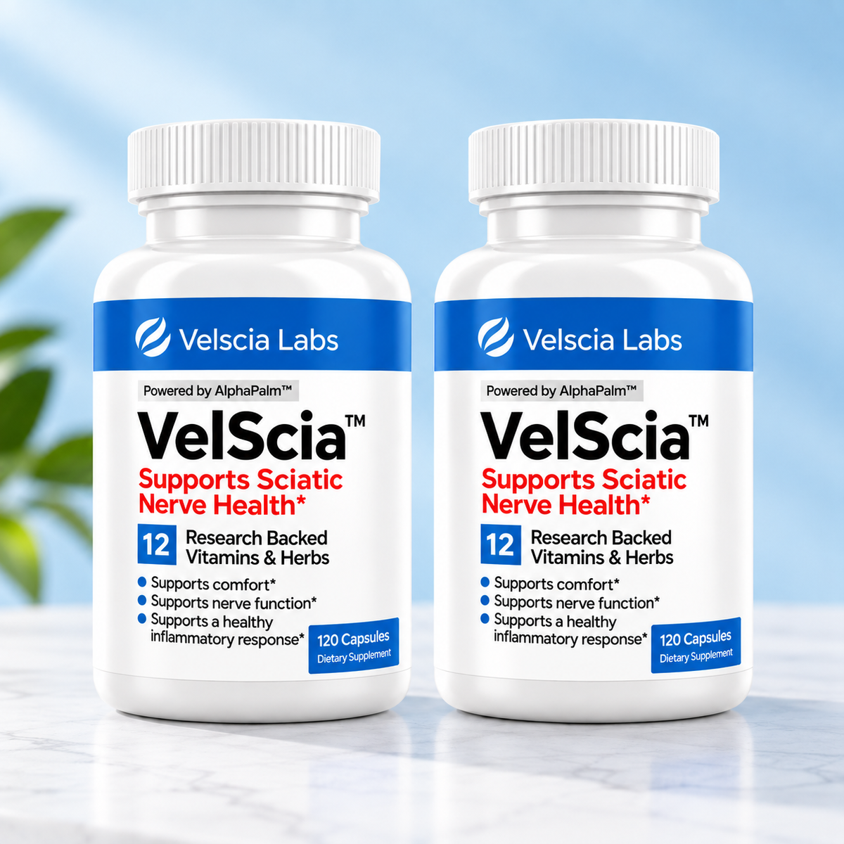 VelScia™