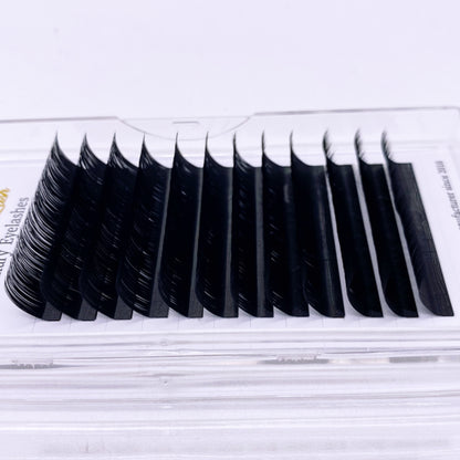 Classic Lashes
